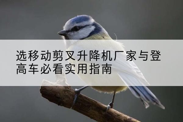 凤庆电动升降机厂家-选移动剪叉升降机厂家与登高车必看实用指南