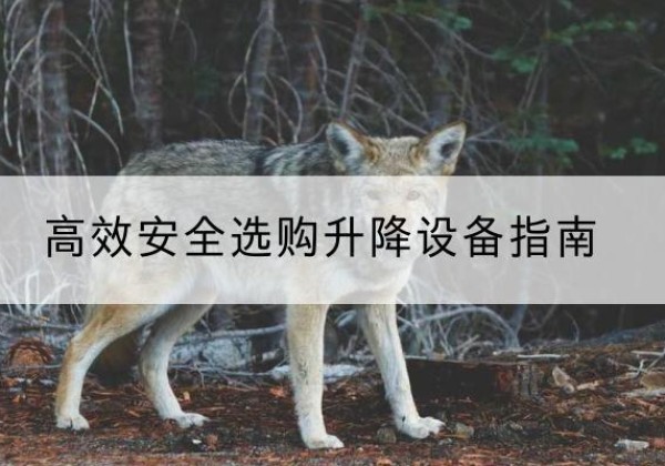 凤庆升降货梯厂家推荐-*安全选购升降设备指南